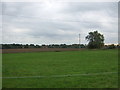 Grazing off Linstead Road in IP19 0LJ