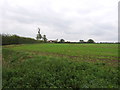 Crop field and hedgerow, Cratfield in Cratfield