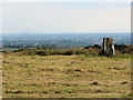 Trig Point With The Wrekin In The Distance in ST15 8RW