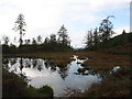 Tarn on Claife Heights in LA22 0LR