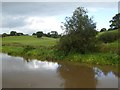 Shropshire Union Canal and open fields south of Tiverton in Tiverton and Tilstone Fearnall