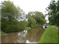 Towards Beeston along the Shropshire Union Canal in Tiverton and Tilstone Fearnall