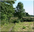Public Footpath near Quorn, Leicestershire in LE12 8AA