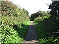 Footpath to Lydney Dock in GL15 5FG