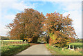 Well Street, Ardington in Ardington