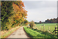 Road to Sheephouse Farm in Ardington