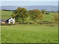 House, fields and sheep, Low Cotehill in CA4 0EJ