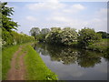 Staffordshire & Worcestershire Canal west of Castlecroft in WV3 8ND