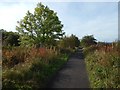 Cycle path above Gibshill in PA15 2RB