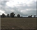 Arable land near Waterloo Farm in TA13 5JB