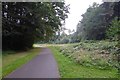 Path onto Southampton Common in SO16 7QF