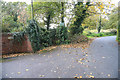 Footpath on Walnut Lane, near Bromsgrove in B60 3DH