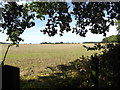 Farmland off Old Lane in NR10 4RJ