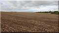 A freshly ploughed and planted hilltop field in BS39 4NT