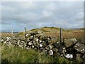 Dry Stane Dyke in KA30 9QA