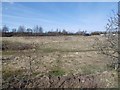 Undeveloped land, Lochlands in DD8 1XH