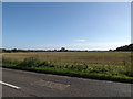 Farmland off the B1145 Dereham Road in NR10 4QX