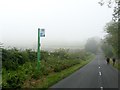 A lonely bus stop on Lingwood Lane in Dumbles Ward
