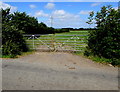 Field gates in the east of Frocester in GL10 3TE