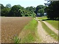 Track and farmland beside Bentley Wood in SP5 1QB