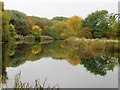 Autumn colours on the River Great Ouse in PE29 7AQ