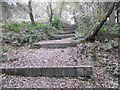 Steps at Raspit Hill in TN15 0LR