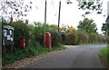 Elizabethan postbox and telephone box on Warmingham Lane, Moston in CW11 3PQ