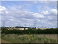 Pylons, Pylons, Pylons, Pylons, Ragwort and Pylons in SG9 0FA