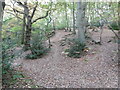 Path in Oldbury Woods up to the Iron Age fort on Oldbury Hill in TN15 0EZ