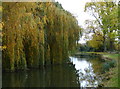 Grand Union Canal in Glen Parva, Leicester in LE8 4FA