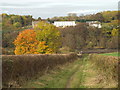 Autumn colours on Wearside in NE38 8LE