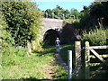 Railway Bridge, Cock Marsh in SL8 5DP
