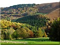 Autumn colours in Highlow Valley in Highlow