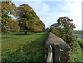 Wall and trees along the road to Upper Hambleton in LE15 6FZ