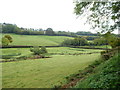 The valley of the Burn River in EX5 4BR