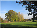 Fields and Trees near Kiff Green in RG7 5TJ
