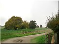 Englefield Estate farmland, near Chalkpit Farm in RG7 5ES