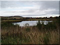 Loch at Murton Nature Reserve in DD8 2TA
