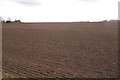 Seedbed, Inverpeffer in DD7 6LP