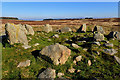 Stone Circle, Moor Divock in Askham