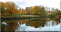 The lake at Gawsworth Hall in SK11 9RQ