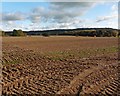 Ploughed field near Came Cross in EX14 3LJ