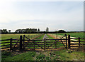 Fencing and paved road within field west of Blacksmith End in Stathern