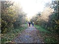 Path and Former Railway Line near Springwell Lane Bridge in DN4 8TE
