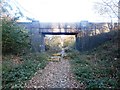 Bridge Over Disused Railway Line in DN4 8SN