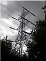 Pylon, Cotgrave Forest (2) in NG12 5PG