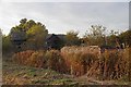 Busted Barn near Kings Farm in St. Lawrence