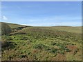 Scrub and moorland north of Moorcock Tunnel in LA10 5PX