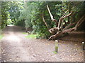 Sheringham Park [18] in NR26 8TU