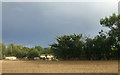 Stubble field and hedgerow near Mill Common in Westhall